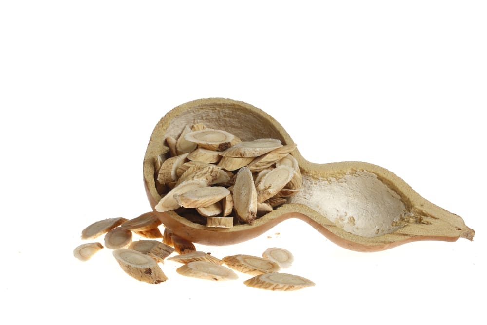 cięty korzeń traganka błoniastego na drewnianej łyżce