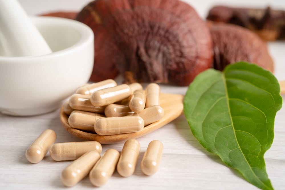 grzyby reishi, obok reishi w tabletkach
